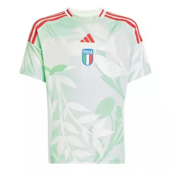 Рубашка для выступлений ADIDAS PERFORMANCE Italy 25, пастельный зеленый