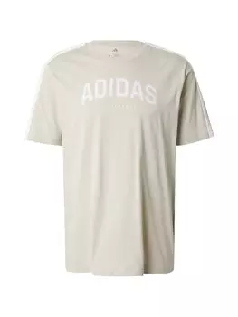 Рубашка для выступлений ADIDAS SPORTSWEAR COLLEG, пастельный зеленый