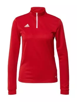 Рубашка для выступлений ADIDAS SPORTSWEAR Entrada 22, карминно-красный