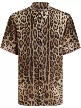 Рубашка Dolce & Gabbana с леопардовым принтом, коричневый