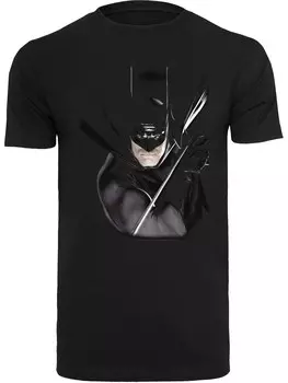 Рубашка F4NT4STIC DC Comics Batman By Alex Ross, черный