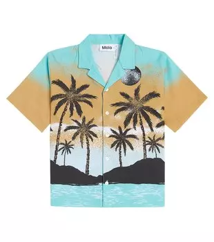 Рубашка из хлопка с принтом Rui Molo, мультиколор