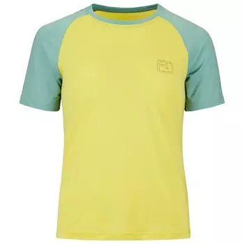 Рубашка из мериноса Ortovox Women's 150 Cool Ballpen TS, цвет Wabisabi