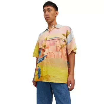 Рубашка Jack & Jones Landscape, разноцветный