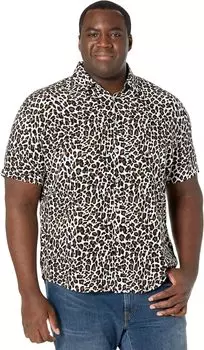 Рубашка Johnny Bigg Big & Tall Chance Animal Print Shirt, белый