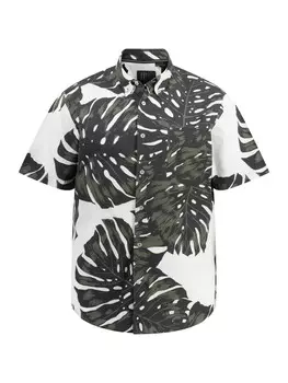 Рубашка JP1880, цвет seegrn