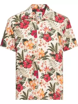 Рубашка King Kerosin, белый