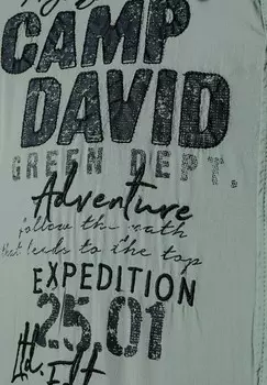 Рубашка LOGO Camp David, зеленый