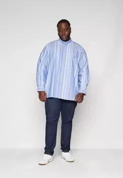 Рубашка LONG SLEEVE SHIRT Ralph Lauren, синий