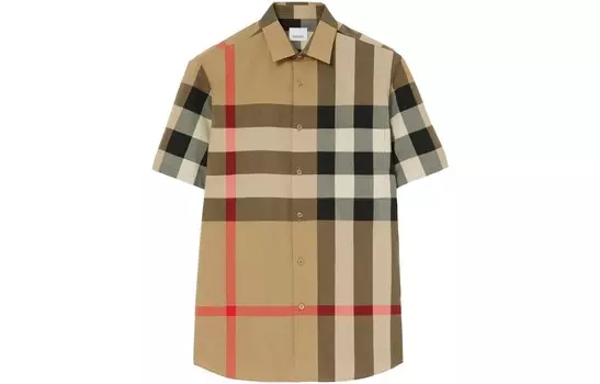 Рубашка мужская Burberry, мультиколор