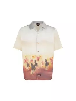 Рубашка на пуговицах DICKIES Running Wild, разноцветный