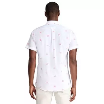 Рубашка на пуговицах классического кроя Big & Tall Advantage Performance IZOD