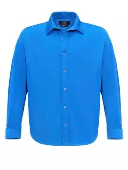 Рубашка обычного кроя на пуговицах Antioch, синий