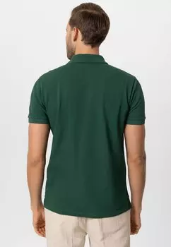 Рубашка-поло Beau 2 Pack Antioch, лесно-зеленый светло-синий