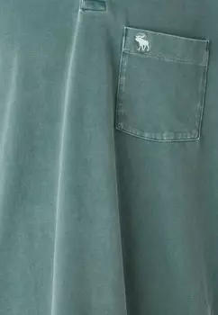Рубашка поло CHIC MOOSE Abercrombie & Fitch, зеленый