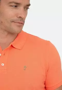 Рубашка-поло Jacey Quinn, коралловый