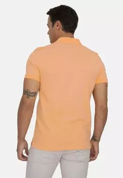 Рубашка-поло Jacey Quinn, лосось