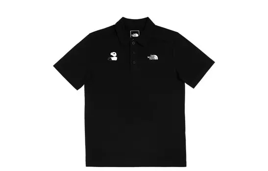 Рубашка поло мужская темно-серая The North Face, темно-серый