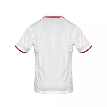 Рубашка поло PEAK Германия Баскетбольная мужская