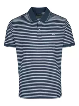 Рубашка поло в полоску Paul & Shark, синий