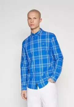 Рубашка POPLIN CHECK SHIRT Tommy Jeans, цвет persian blue