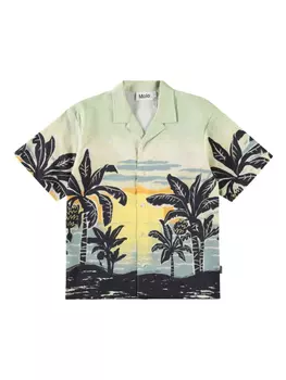 Рубашка Rui Molo, зеленый