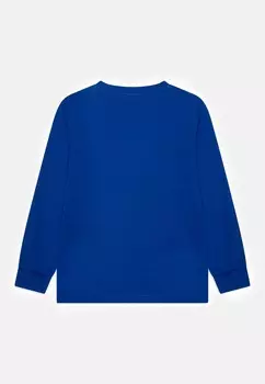 Рубашка с длинным рукавом GRAPHIC LONG SLEEVE CREWNECK UNISEX Champion, синий