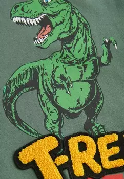 Рубашка с длинным рукавом LONG SLEEVE GRAPHIC Next, зеленый