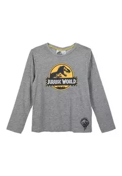 Рубашка с длинным рукавом LONGSLEEVE DC, цвет grau