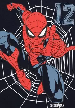 Рубашка с длинным рукавом NMMJARIS SPIDERMAN Name it, темно-синий