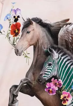 Рубашка с длинным рукавом RENIZA LONG SLEEVES Molo, светло-розовый