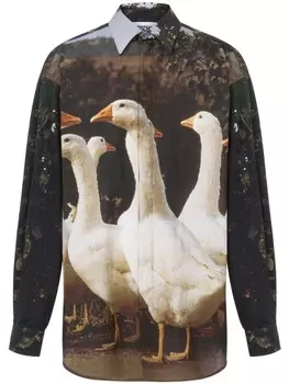 Рубашка с графичным принтом Moschino, коричневый