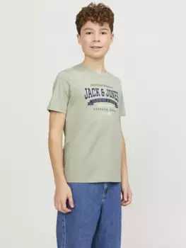 Рубашка с круглым вырезом для подростков Jack & Jones "JJELOGO TEE SS NECK 2 COL AW23 NOOS JNR" Jack & Jones Junior, цвет Desert Sage