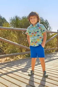 Рубашка с принтом динозавров JoJo Maman bb для мальчиков Jojo Maman Bb, зеленый