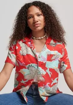 Рубашка Superdry