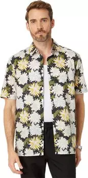 Рубашка Ted Baker Sallins, цвет Multicolor