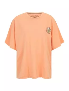 Рубашка Volcom MY GUYS, цвет Powder