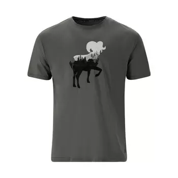 Рубашка Whistler, темно-серый