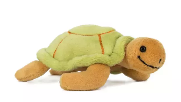 Рудольф Schaffer Магнетикс Магнитная черепаха ХИЛЬДА