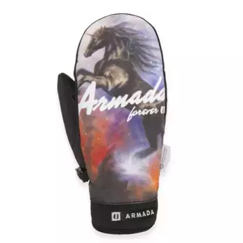 Рукавицы Armada Carmel Windstopper, разноцветный