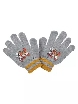 Рукавицы Kids Movie Heroes PAW PATROL, серый