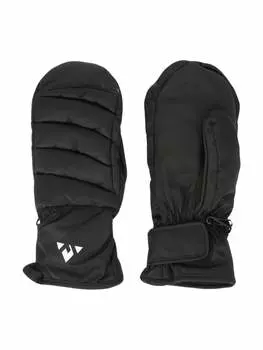 Рукавицы Whistler Handschuhe Xander, цвет 1001A Black