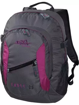 Рюкзак Tashev Eagle 25, серый