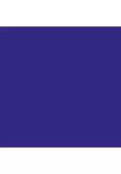 Рюкзак Tempest 46 см OSPREY, цвет Violac Purple