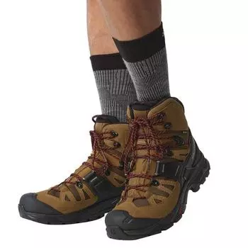 Рюкзаковые ботинки Quest 4 GTX мужские Salomon, цвет Rubber Black Fiery Red