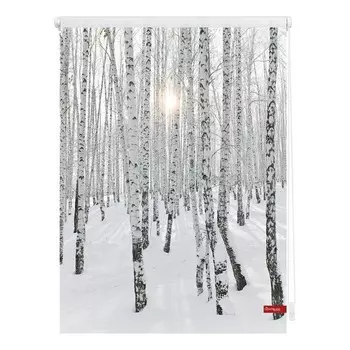 Рулонные шторы Lichtblick Birkenwald, 90x150x6 см цвет wei/schwarz