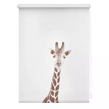 Рулонные шторы Lichtblick Giraffe, 45x150x5 см, коричневый