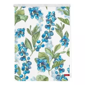 Рулонные шторы Lichtblick Heidelbeere, 70x150x6 см, синий/зеленый