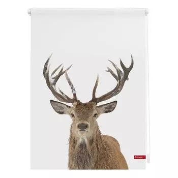 Рулонные шторы Lichtblick Hirsch, 80x150x6 см цвет wei/braun