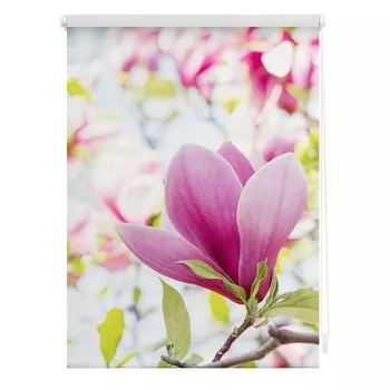 Рулонные шторы Lichtblick Magnolie, 70x150x6 см, розовый